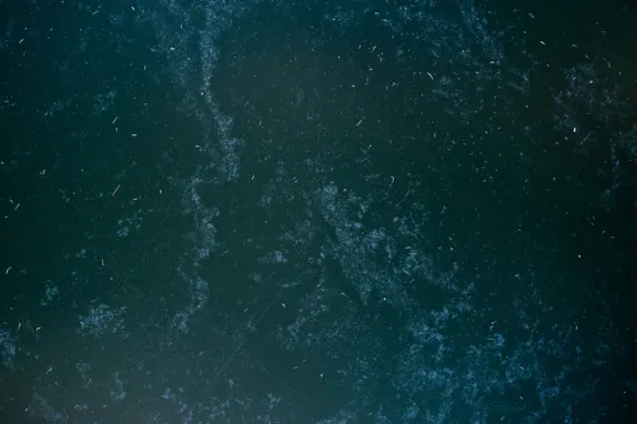 Турнаверс Казино Поддръжка